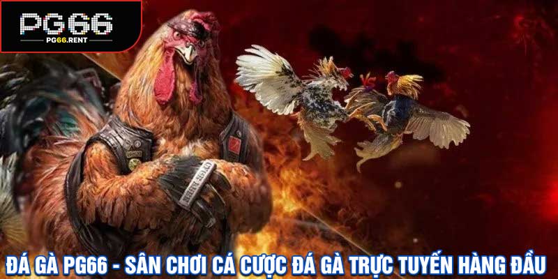 Đá Gà PG66